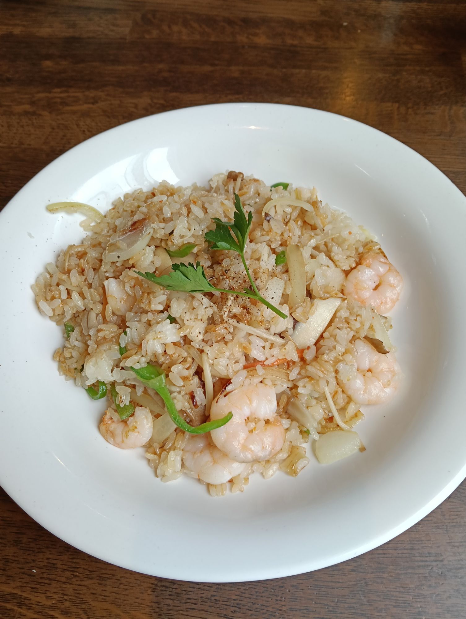 安城市　ドルフィン